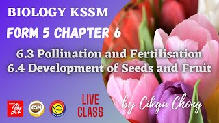 6.3 Pollination and Fertilisation and 6.4 Development of Fruit and Seeds