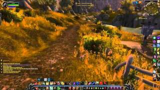 Level 69 Night Elf Feral Druid PVP - Izanai (pre-resilience smack-down!) - Part 2