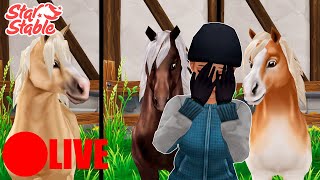 KØBER ALLE JORVIK PONYERNE?! *9 HESTE?!*| Dansk Star Stable Online