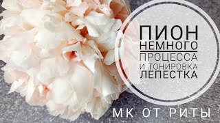 Пион. И немного о тонировке от Риты. Peony.Аnd a little about toning.