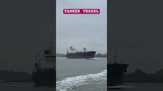 TANKER VESSEL Spotted Zeeland Netherland 🛟⚓️ #ofw #marinoph