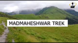 Want to Discover Beautiful Treks in Uttarakhand । Trek With Us । wegarhwali ।Trekking Expert