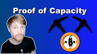 The Proof of Capacity Consensus Mechanism