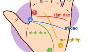 Mối quan hệ giữa tướng tay và vận mệnh