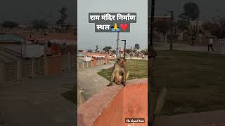 श्री राम मंदिर निर्माण स्थल 🙏❤️ अयोध्या ❤️ #shorts #viral #rammandir