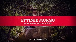 Eftimie Murgu Ansamblul de mori de pe Valea Rudariei