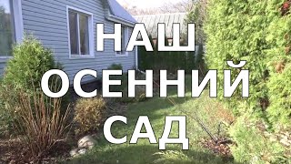 Садовый дневник: Один день в нашем саду осенью.