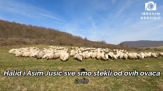 Ḫalid i Asim jusić sve smo stekli od ovih ovaca - 2 dio