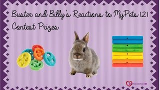 Buster and Billy`s Reactions to MyPets121 Contest Prizes