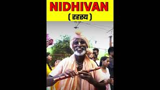 Nidhivan Ka Rahasya || #shorts #factmine #nidhivan #facts #trending #mandir #temple #short