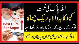 Best Totka For Sugar|Best Home Remedie For Sugar|Sugar Ka Free ilaj|Sugar Ka Wazifa