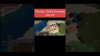 Placing 1 Block Everyday Day 24 #Shorts