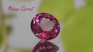 3.23 Carat Round Malaya Garnet - GemSelect Video Review: