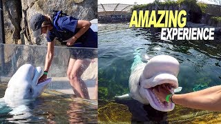 We Spent The Day With Rescued Marine Life (Amazing Experience)