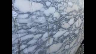 Amazing Arabescato Corchia marble block