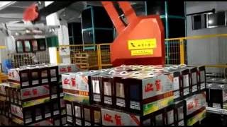 Palletizing Robot for Carton