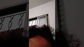 minha 1° Live.🍒✨⭐🌟🐾🧃😍‼️