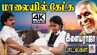 இசைஞானி இசையில் மாலையில் கேட்டு மகிழ இன்னிசை பாடல்கள்  Ilaiyaraja Melody Songs