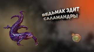 ВЕДЬМАК ЭДИТ ГВИНТ | САЛАМАНДРЫ