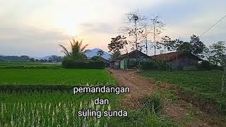 suasana kampung bikin orang kota rindu hidup di desa ini #suasanapedesaan #sulingsunda #suling bambu