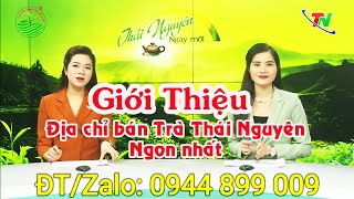 Mua Trà Thái Nguyên ngon nhất | Trà Thái Nguyên cao cấp