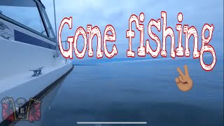 Catching Rockfish From a Boat! | Vermilion, Gopher and China Rockfish!