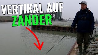 Angeln am Kanal - Vertikal auf Zander || Angeln am Dortmund-Ems-Kanal || Pantoffel angelt