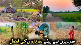 My Morning Routine||Pakistan Village Life||Gaon me Sham ki Routine||Sugarcane cutting