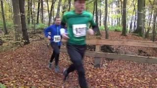 16.11..2016 Tiergarten Crosslauf in Schleswig