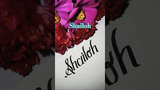 name writing #shorts #youtube #trending #viralvideo #calligraphy #penmanship #rap #music #hiphop #tv