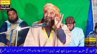 Molana Misbha Hafeez