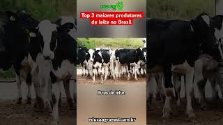 Os 3 maiores produtores de leite do Brasil!  #agriculture #agro #fazenda #leite #agropecuaria  #gado