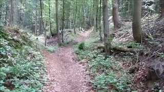 Tageswanderung zur Ruine Rothenberg / Glatzenstein / Großer Hansgörgl