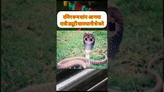 रनिंग रूम घुसा खतरनाक सांप ।#dangersnake #ranningroom #shortvideo #railwayupdate #shortvideoviral