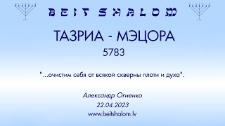 ТАЗРИА МЭЦОРА 5783. "...очистим себя от всякой скверны плоти и духа". (Александр Огиенко 22.04.2023)