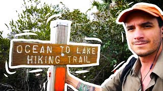 Ocean to Lake Hiking Trail - 61 Miles Thru The Everglades