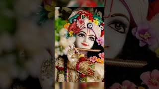 Krishna Jii 🙏🙏 | WhatsApp status| HD Jay Laddu Gopal #krishna#shorts