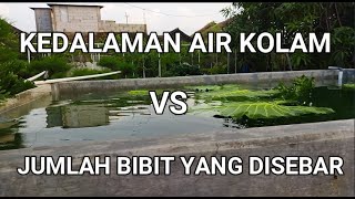 KEDALAMAN AIR KOLAM IKAN GURAME - KEDALAMAN AIR KOLAM VS BIBIT YANG DISEBAR