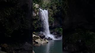 Curtis Falls Mt Tamborine 💦 Full Vlog Up #waterfalls #waterfall #waterfallhike #nature #minivlog