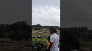 Hyderabad nehru zoo park#zooanimals#zooparkhyderabad#trendingshorts#shortsvideo#youtubeshorts