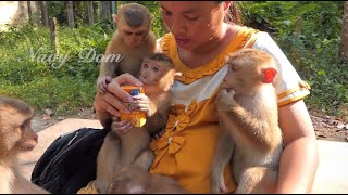 Everyone waits in line, mom KT give them milk one at a time. Apollo cry for milk first