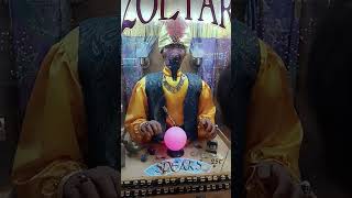 Zoltar Fishermall