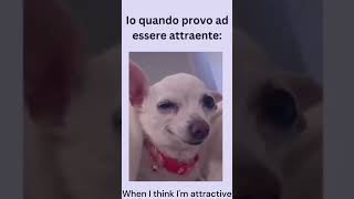 POV: Quando provo ad essere attraente. POV: when I try to be attractive. #lol #funny #funnydogs