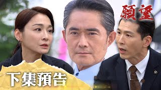 願望 EP97預告｜聖強找到私生兒子 要求回周家認祖！藏蜜亞失敗 洋介世宗完蛋了？！｜【十全味噌】