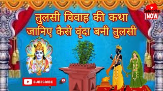 तुलसी विवाह की कथा || Tulsi Vivah ki katha || Tulsi Vivah ki kahani || Shub tulsi vivah Shaligram