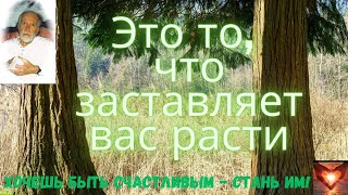 📗Роберт АДАМС📖Божественное неведение📖📗 #Аудиокнига