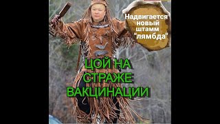 Алексей Цой на страже вакцинации