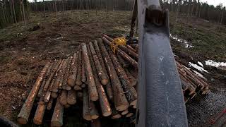 Loading a load of Timber on a Timbertruck #8