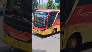 Sang Legend Dulunya Bus AKAP sekarang jadi Bus Solo Purwantoro saja #basuri #trukoleng