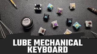 Tutorial Ngelube Mechanical Keyboard